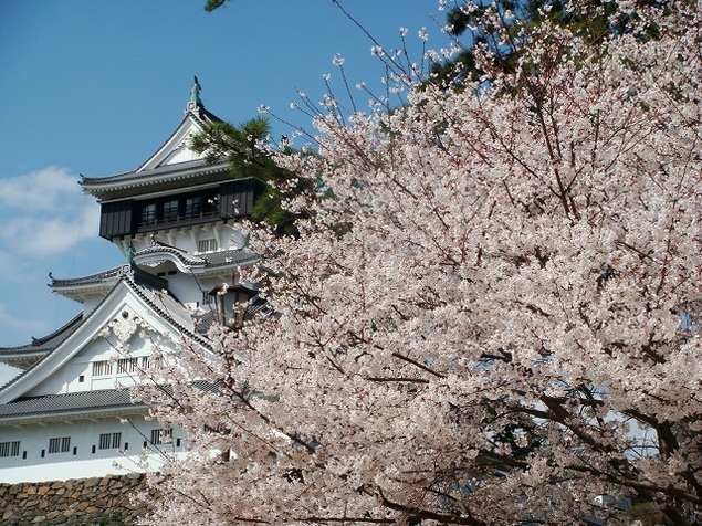 九州賞櫻-勝山公園(小倉城)