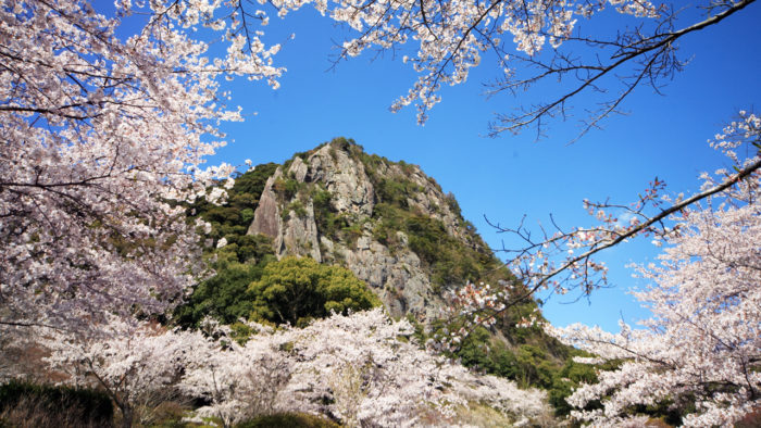 九州賞櫻-御船山樂園