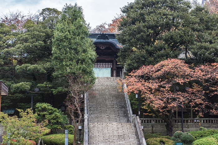 宇都宮二荒山神社