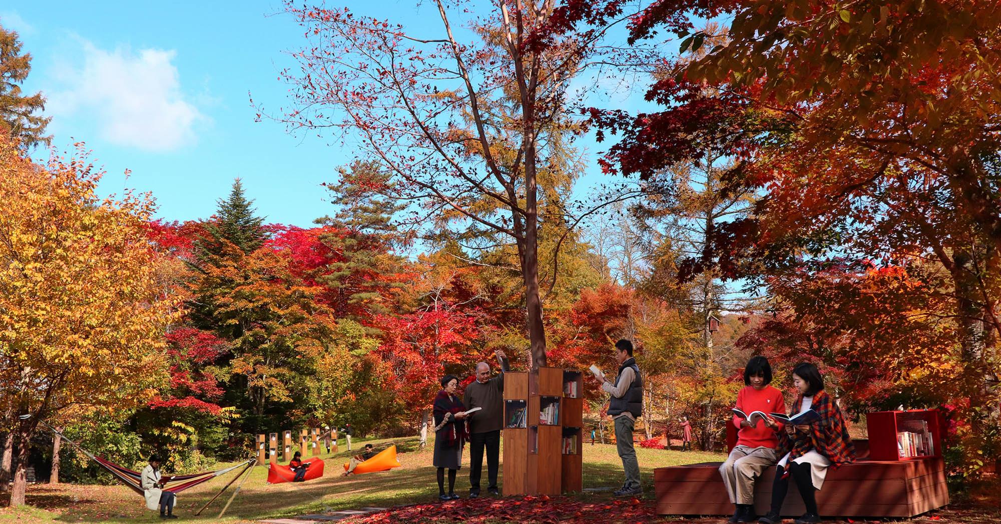 到輕井澤星野度假區期間限定的「紅葉圖書館」盡享美麗之秋