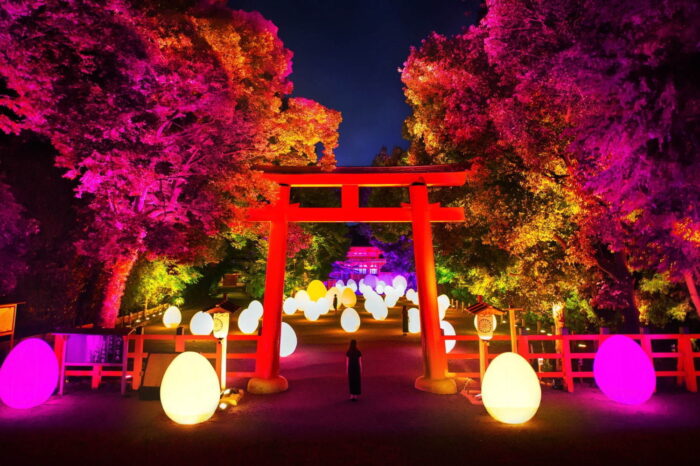 下鴨神社今年也邀請大家走入光之奇幻國度