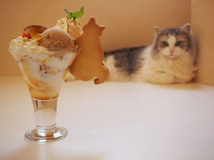 cat cafe甜點