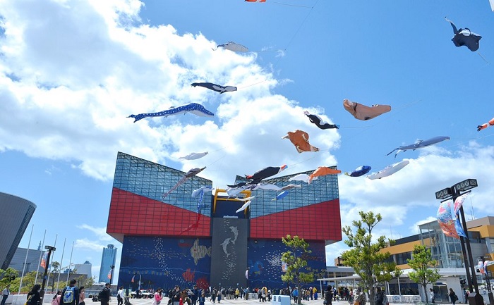 海遊館正面