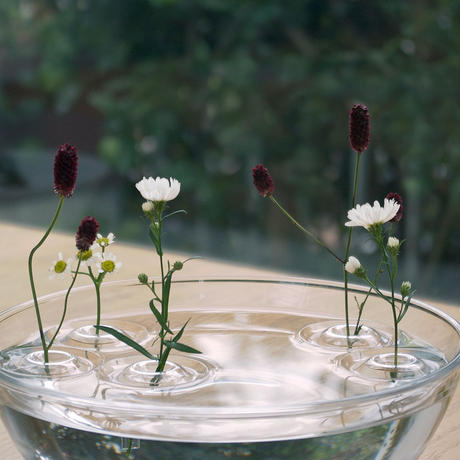 花草飄浮