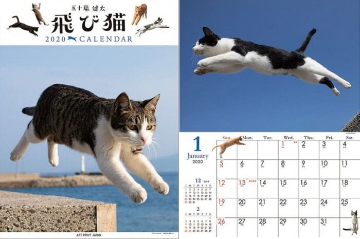 飛天貓掛曆