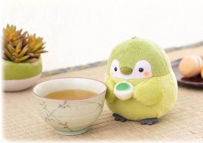 正能量企鵝首家京都專賣店開幕,來把和風抹茶限定款帶回家!
