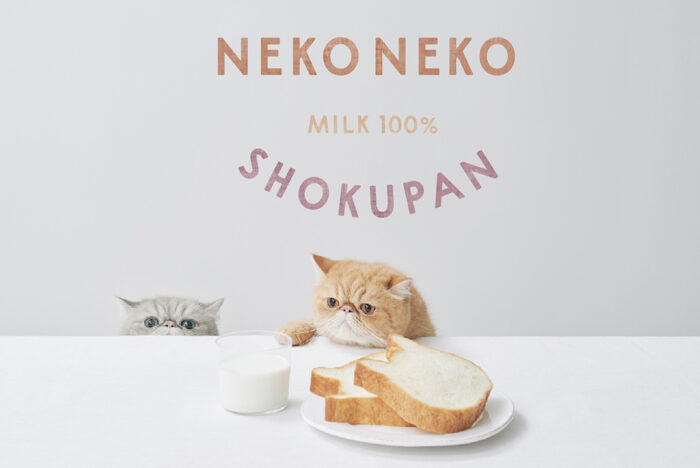 NEKO NEKO SHOKUPAN