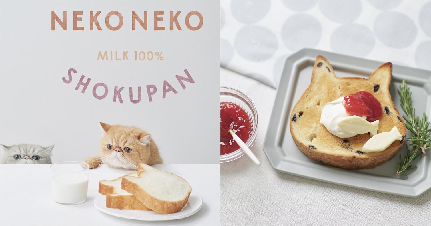 現正超人氣「ねこねこ食パン」貓咪吐司專賣店美味萌度早已爆表!
