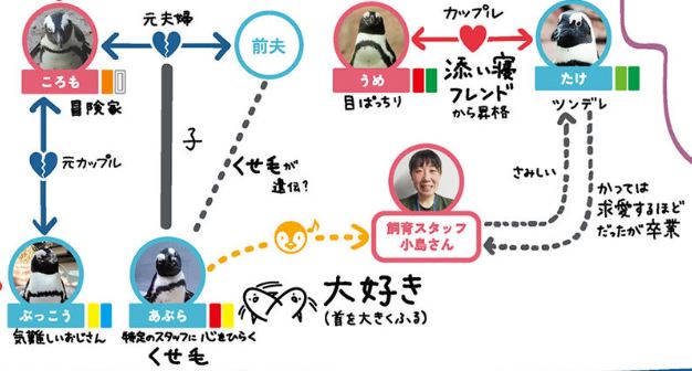 京都水族館企鵝關係圖2020