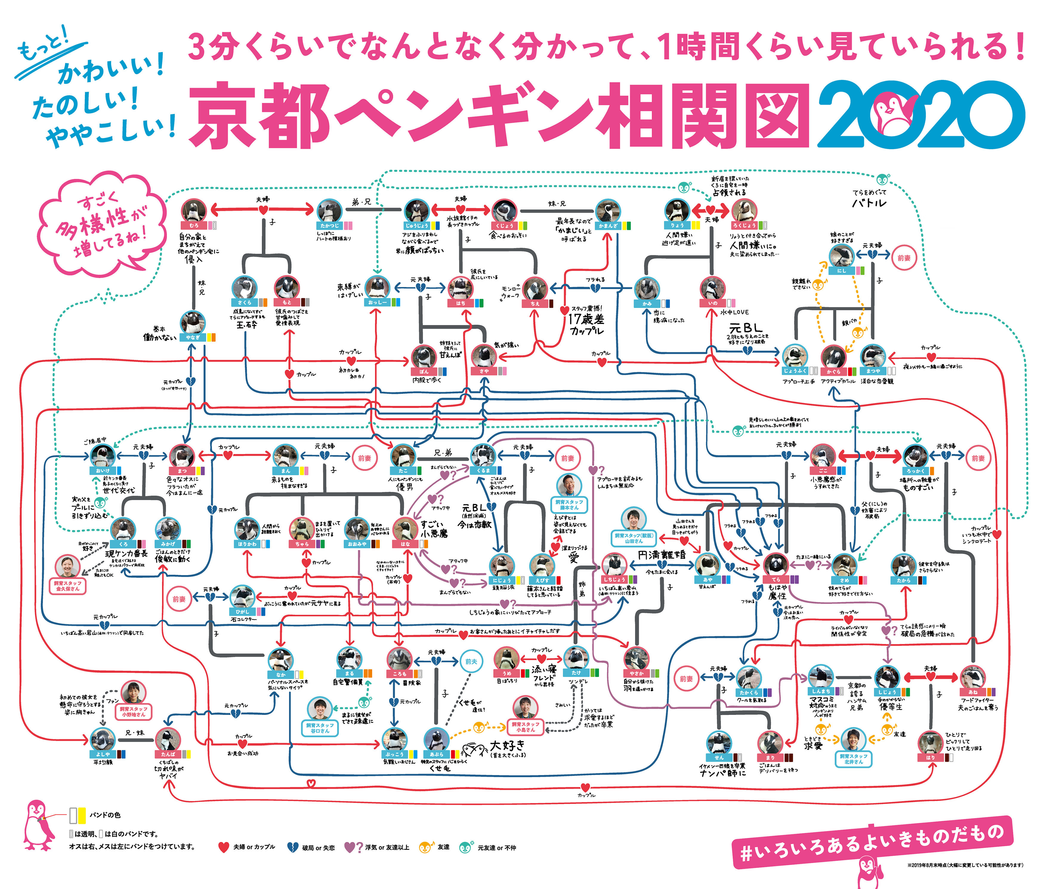 京都水族館企鵝關係圖2020版更新啦!愛恨情仇人鵝糾葛比鄉土劇還厲害