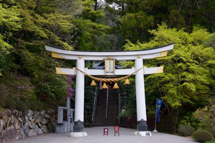 寶登山神社╱埼玉