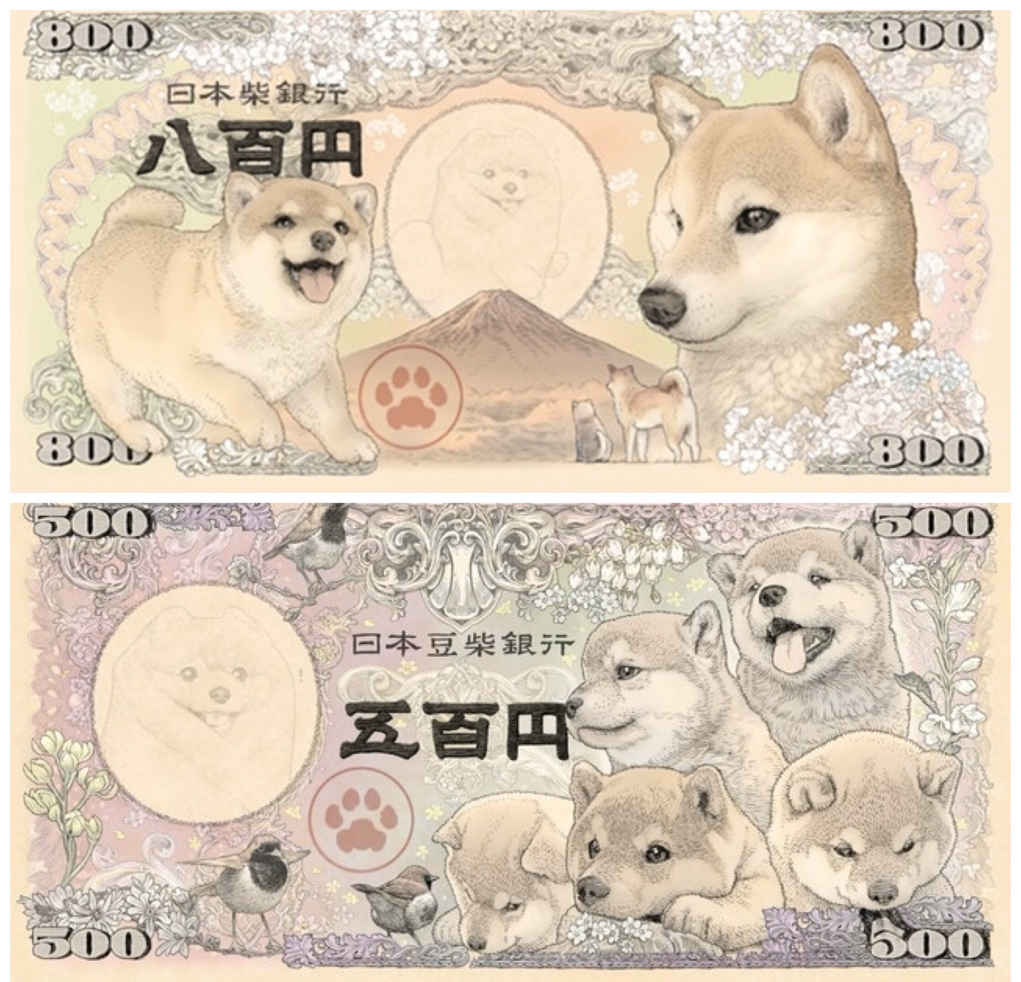 日本FurBaby豆柴紙幣萌度爆表!柴柴治國,忍不住拿新台幣換柴柴幣