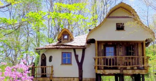 日本夢幻樹屋住宿 5 選 來去森林住一晚!