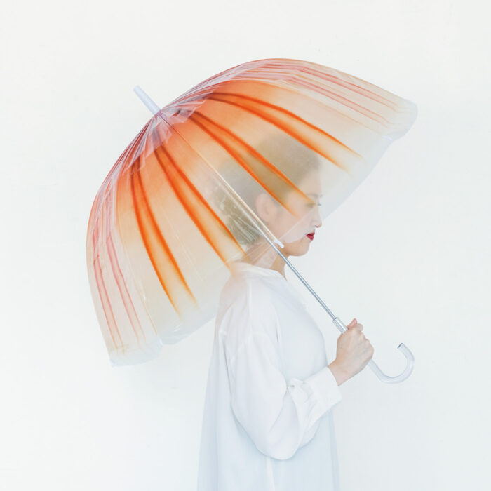 赤水母傘