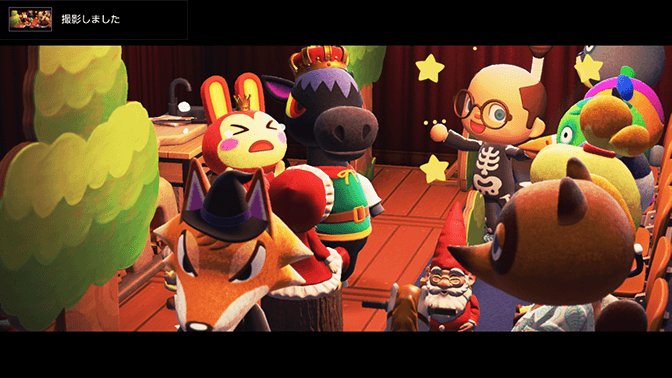 「動物森友會 amiibo卡」團購正夯!許一個和《集合啦!動物森友會》人氣角色相遇的機會