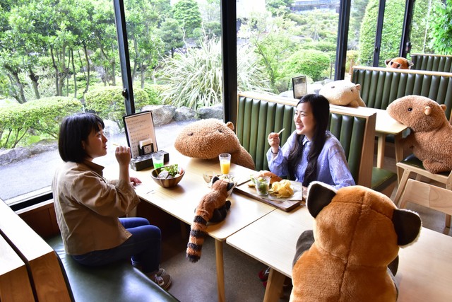 伊豆仙人掌動物園_森林裡的動物餐廳_社交距離