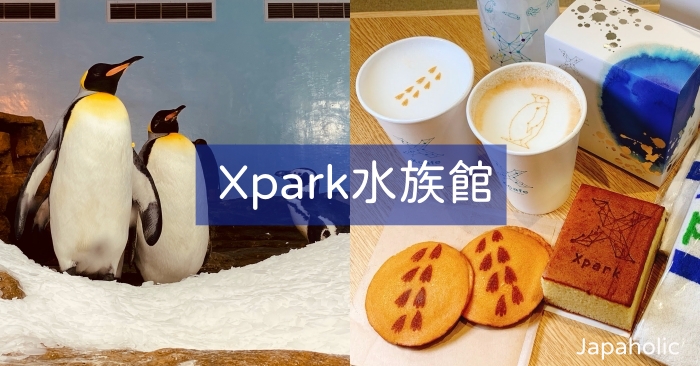來自日本的台灣首座都會型水生公園「Xpark」8月7日開幕 精彩看點搶先報你知!