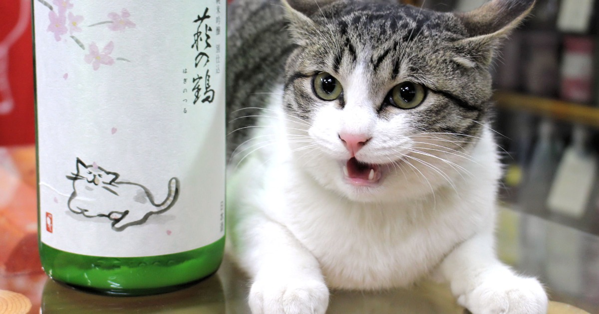 動物酒標日本酒超可愛!你今天想點誰坐檯?