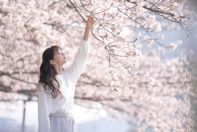 女主角平井美雪由中條彩未飾演