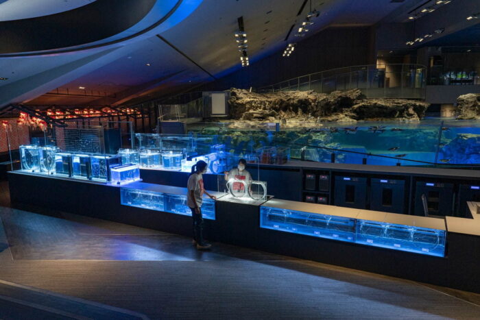 墨田水族館-Aqua base