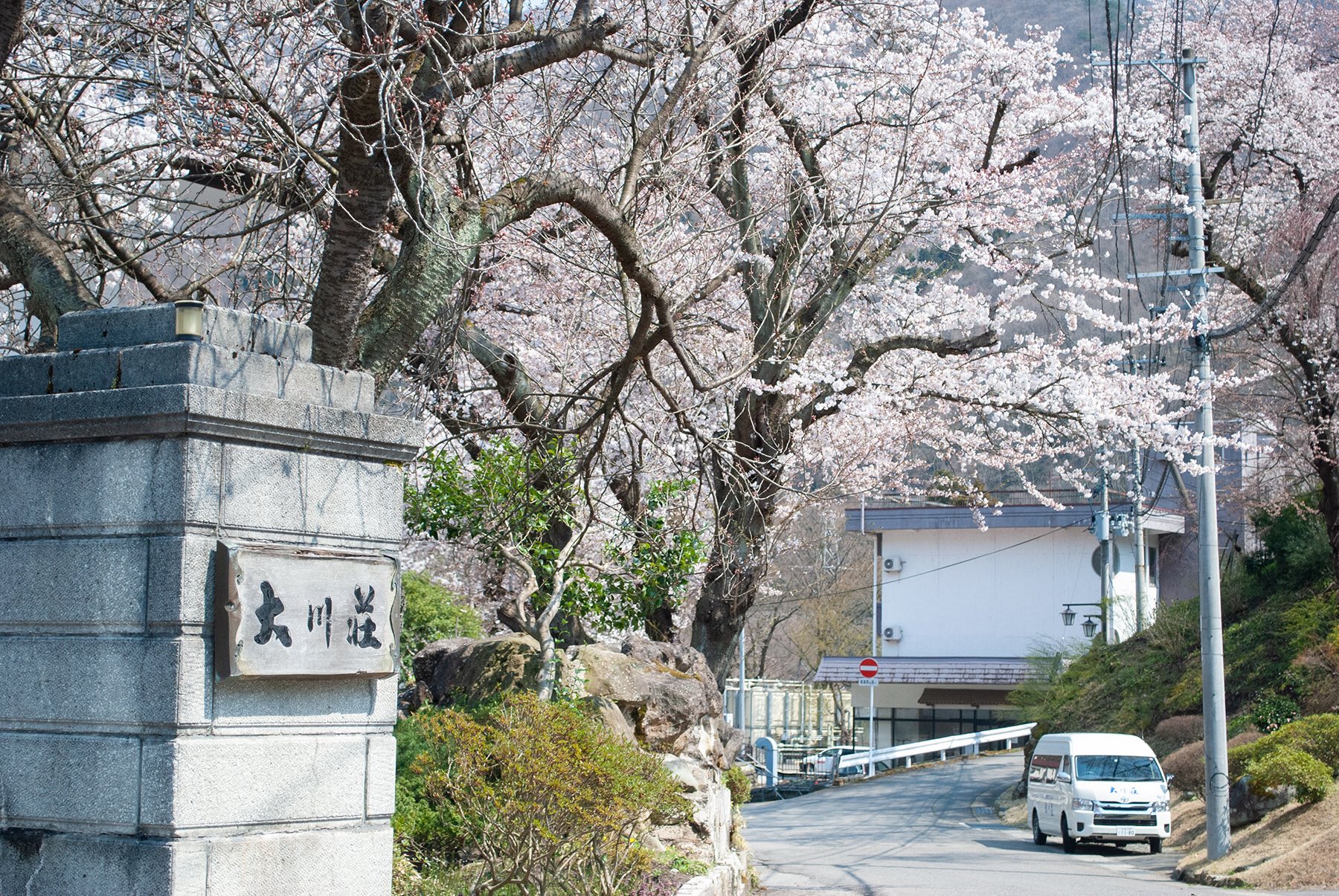 鬼滅_大川莊_無限城_櫻花