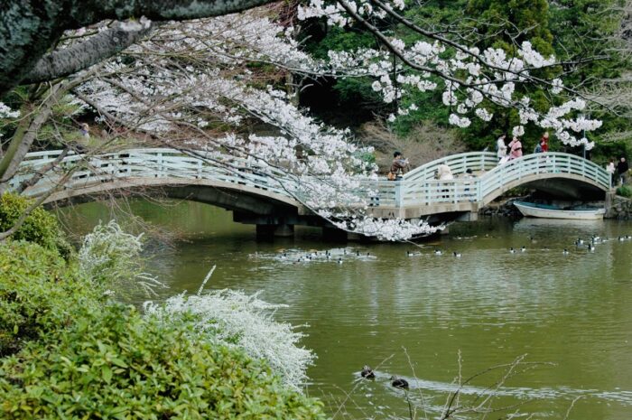 圖3 町田藥師池公園四季彩乃杜風景(圖片提供KEEP WILL DINING CO LTD)