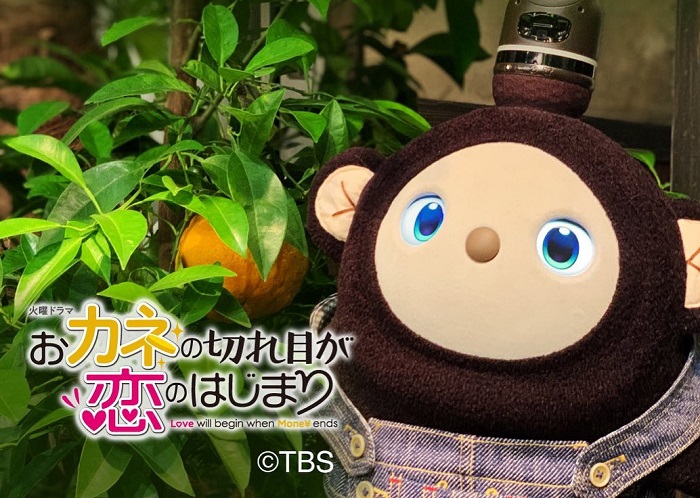 好想擁有猿彥和猿之助!日劇《錢的盡頭是愛情的開始》中的陪伴機器人