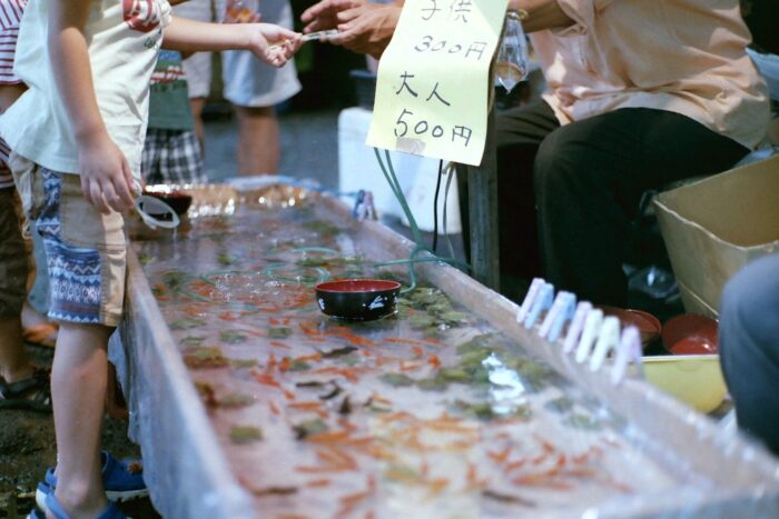 撈金魚