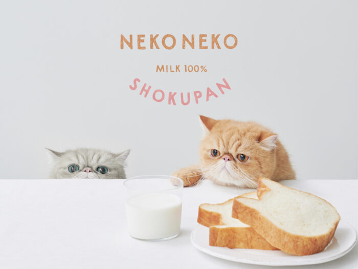 Nekoneko Shokupan貓咪吐司