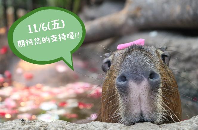 神戶動物王國 線上募款活動