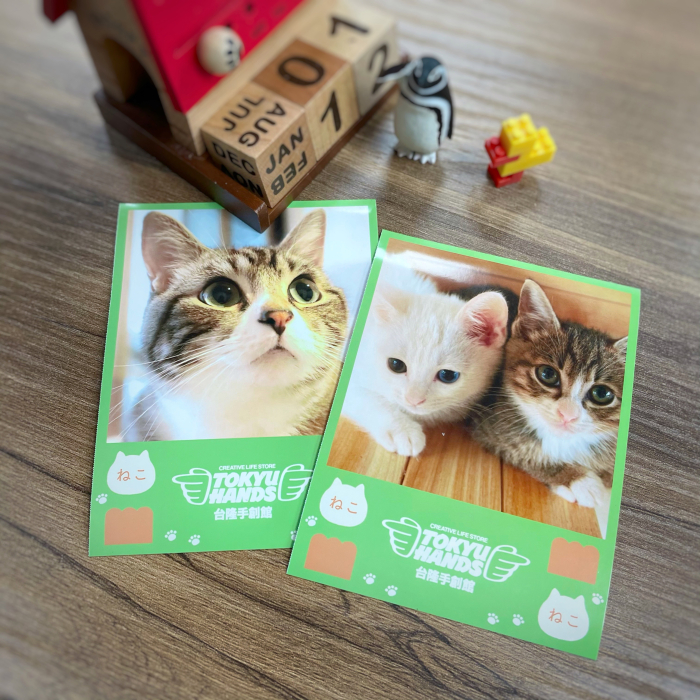 台隆貓咪吐司快閃再加碼,萌萌拍貼趣,購買任2件貓咪吐司相關商品,免費贈送現場拍貼一張,獨家貓咪吐司外框,每日限量50張!