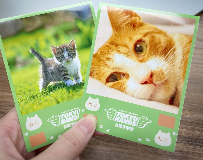 快閃期間單筆購買任2件貓咪吐司相關商品,即可獲得萌萌拍貼一張!