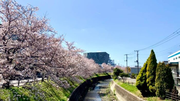 埼玉所澤角川武藏野博物館