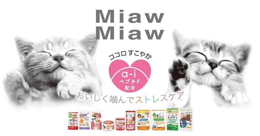 日本品牌貓食推薦,肉泥、乾糧、罐罐滿足挑嘴的主子