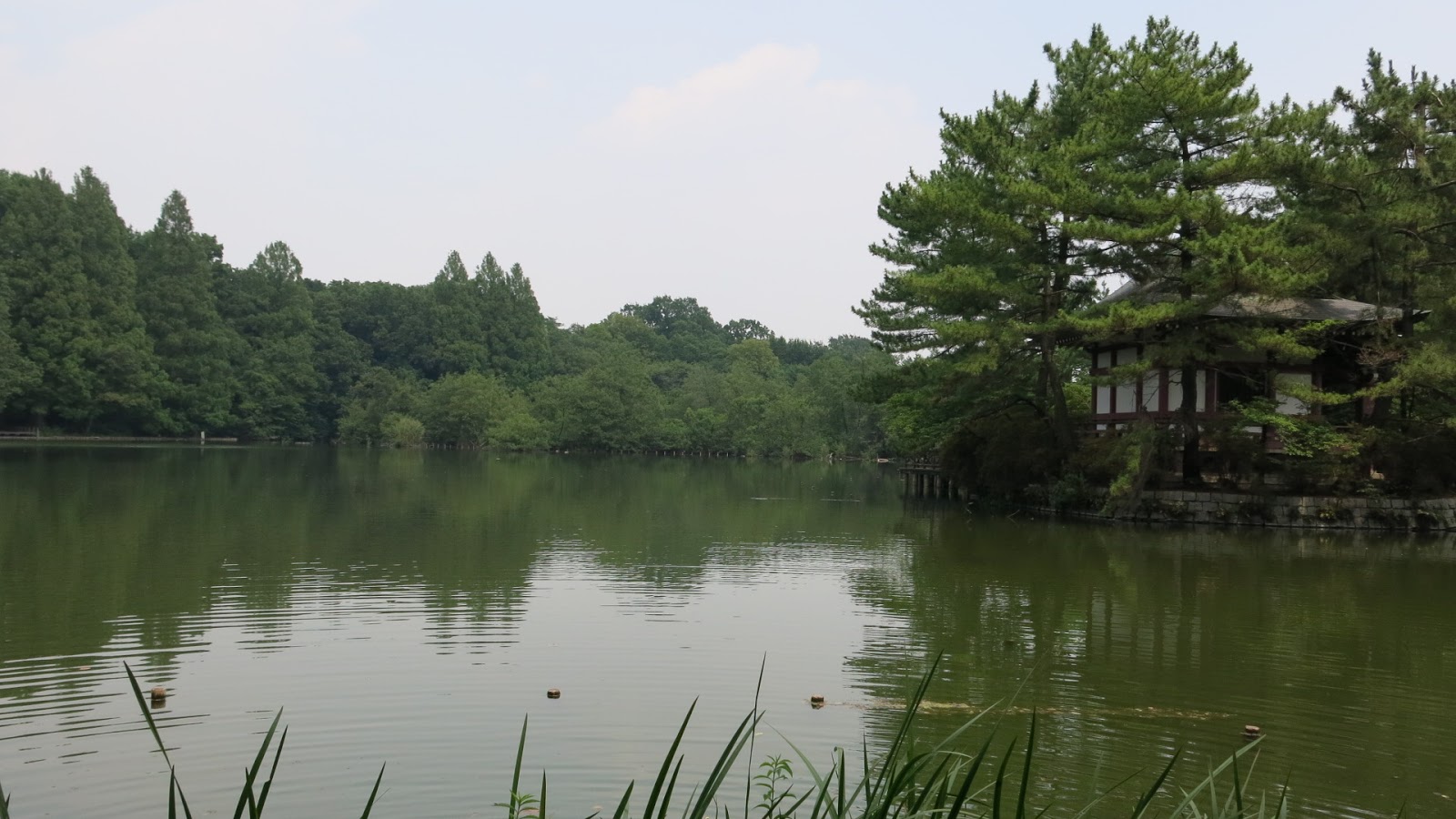 公主怨靈浮現 石神井公園湖中傳說9