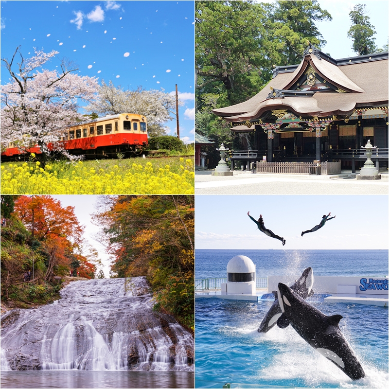 不只有迪士尼樂園,千葉必去景點10選推薦!有山有海、四季花卉,飽覽日本自然美景
