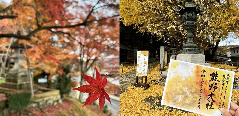 2025日本東北賞楓景點推薦下篇：絕美紅葉＆夢幻銀杏一起追起來！