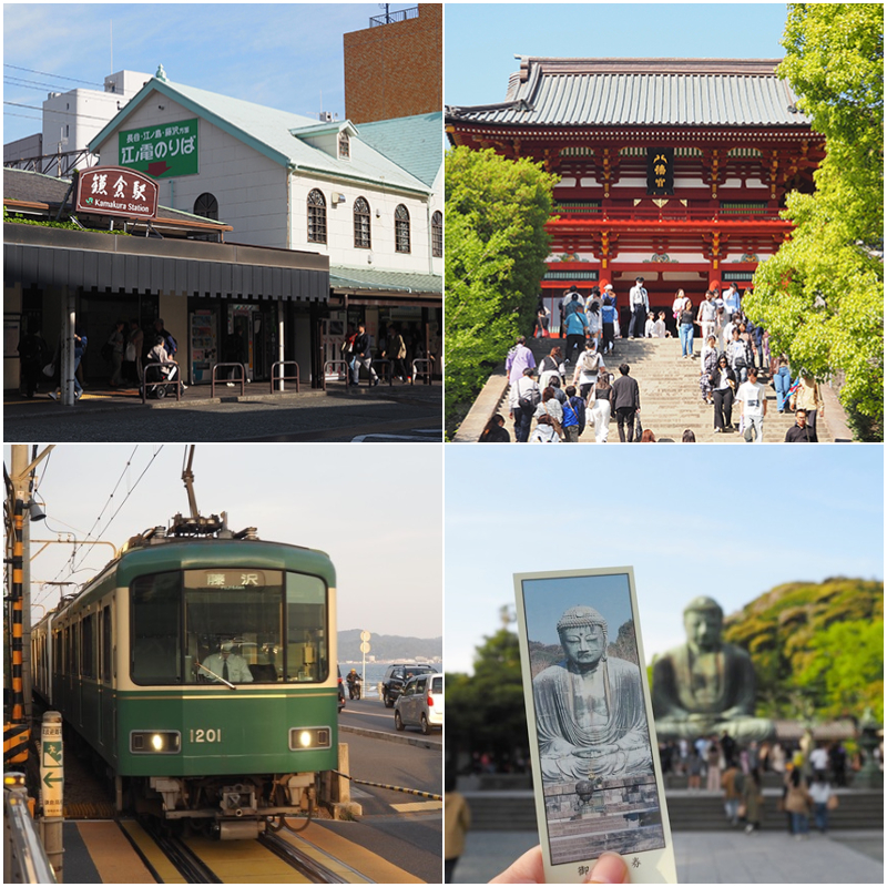 六月紫陽花季去鐮倉搭江之電吧！CP值高又方便的江之電一日票