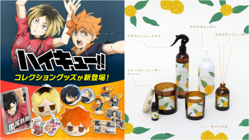 日本最新生活雜貨新品推薦!《排球少年》、《魔法咪路咪路》周邊等你來收