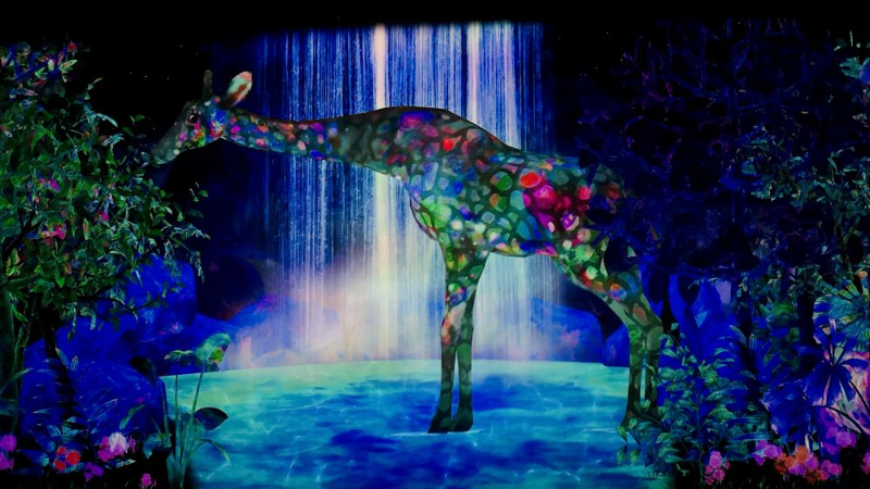 teamLab★Forest Fukuoka 福岡森林常設展參觀攻略