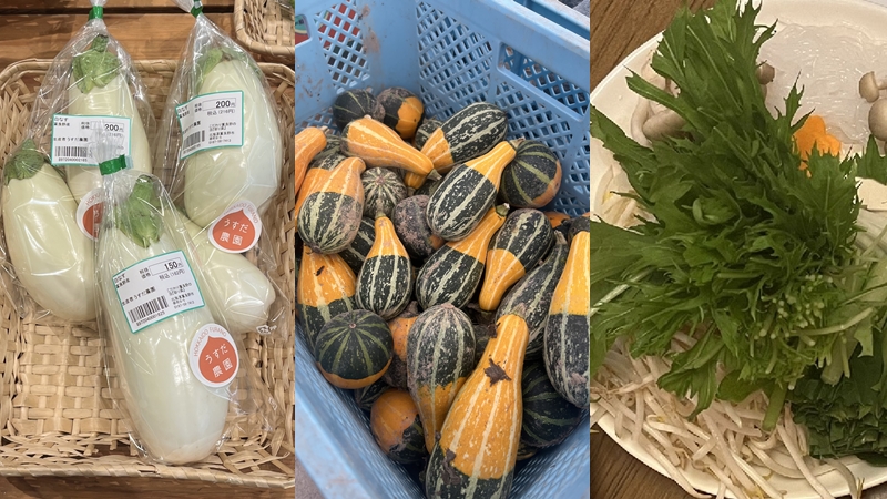 去日本該吃什麼當季蔬菜最對?蔬菜月曆讓你知道幾月該吃什麼蔬菜最鮮甜