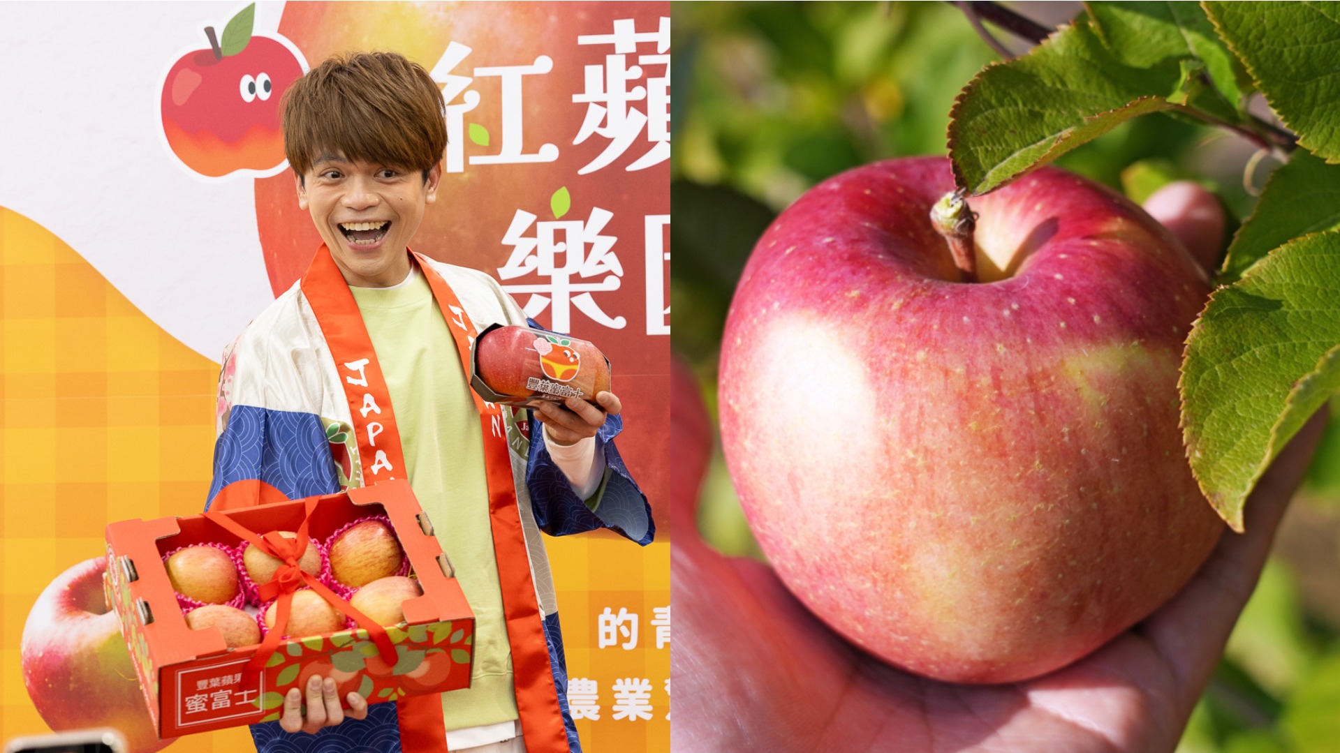 日本青森高蜜度「豐葉蘋果」家樂福登場!連蔡阿嘎吃完都被圈粉的秘密栽種工法是?