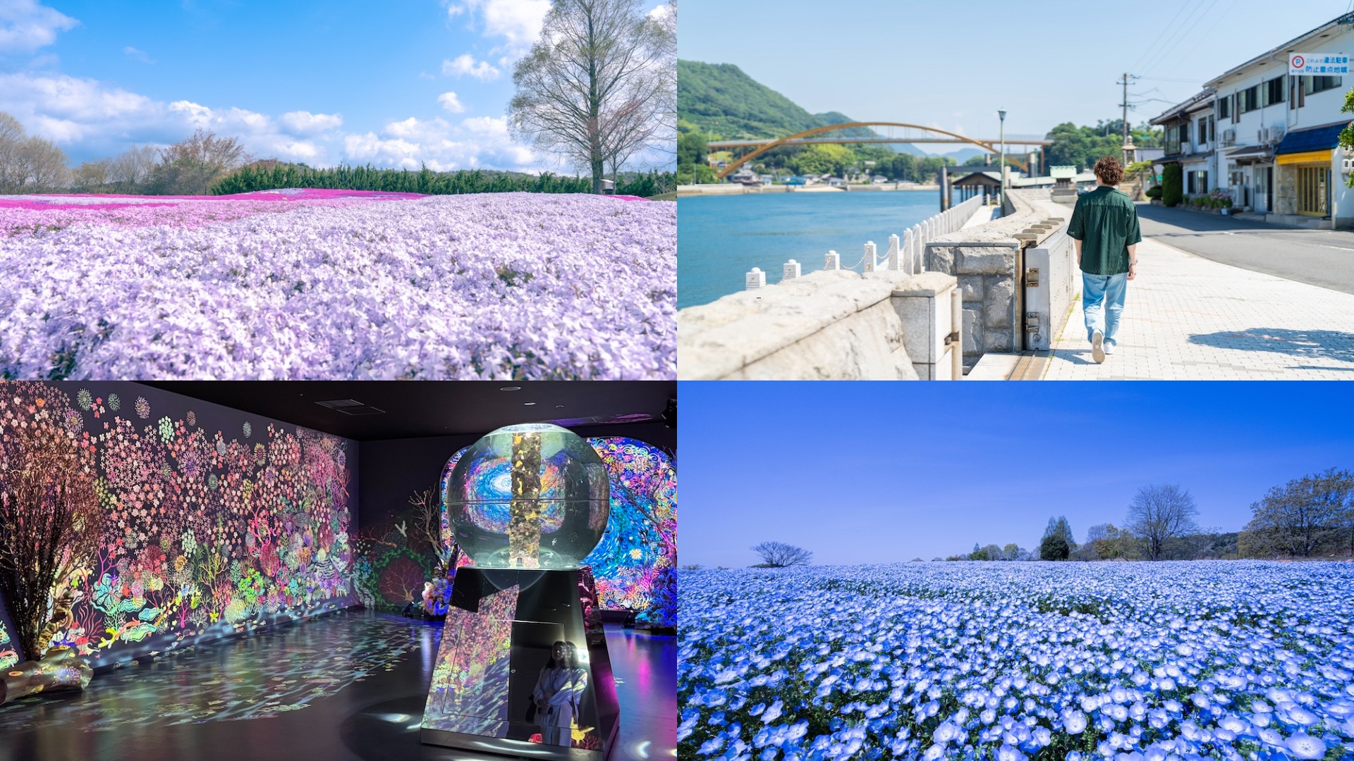 旖旎春遊好時光！和姐妹們來場輕旅行  盡情享受廣島花田、海景和在地美食