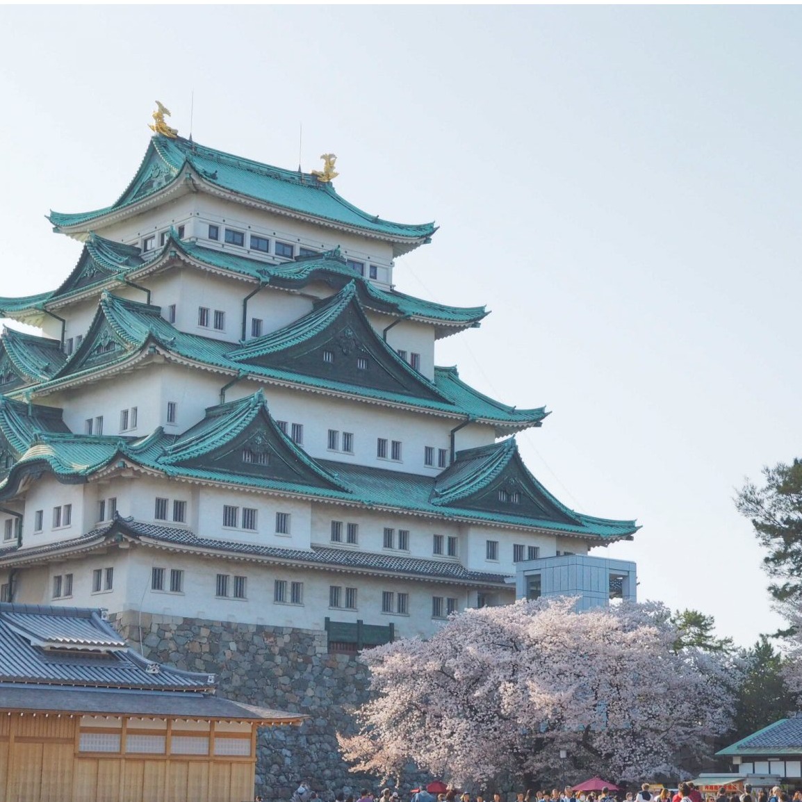 名古屋市自由行必去景點推薦！拒絕隨波逐流的優雅旅人就該來名古屋走一遭