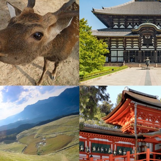 奈良必去景點10選！神社佛寺×絕景山林×可愛小鹿，感受古都最療癒的風景