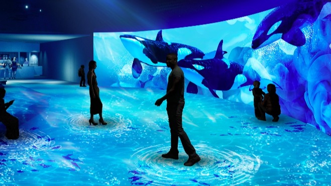 札幌狸小路「AOAO SAPPORO」水族館新開幕!體驗在市區與企鵝互動的療癒氛圍