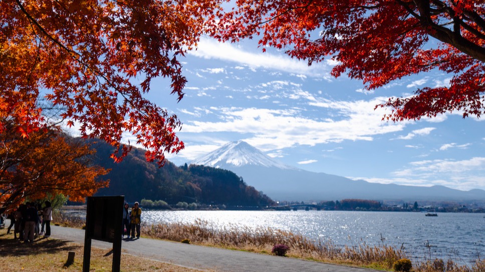 富士山秋季絕景3選!河口湖賞楓、山中湖散策夢幻一日遊