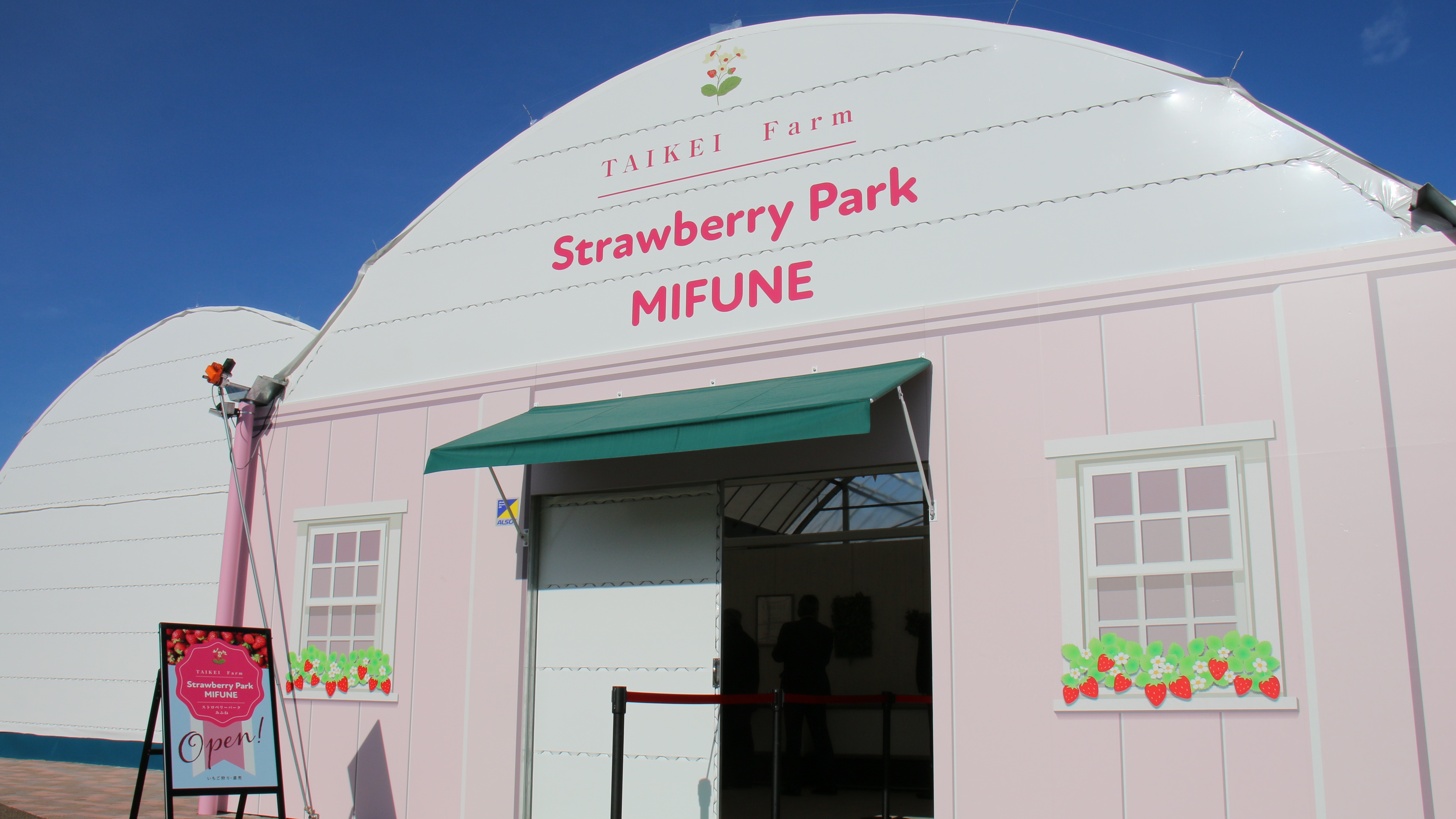 春天不只看櫻花，春遊愛知豐田賞花採果景點推薦