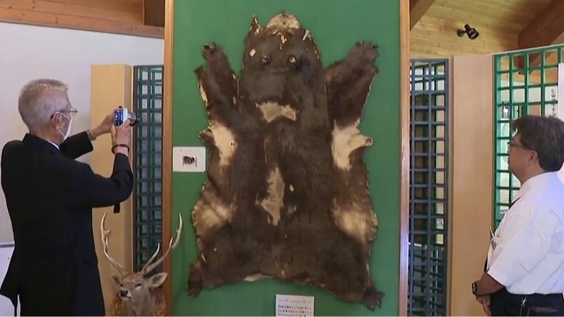 祭典歸途的夜晚卻被熊襲擊，血腥恐怖的「石狩沼田幌新事件」