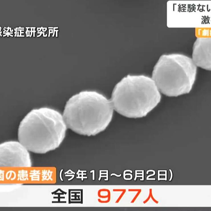 什麼是食人菌？去日本旅行該如何防範？赴日前你一定要知道的注意事項